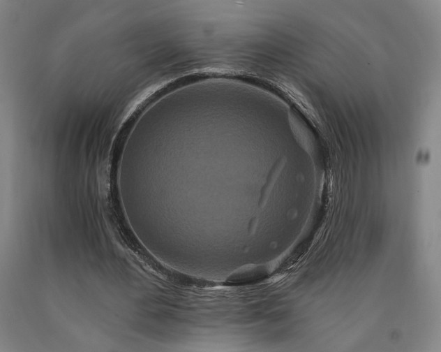 X0000090910484200707301437