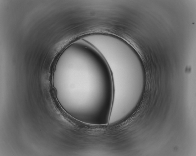 X0000090910485200707301437