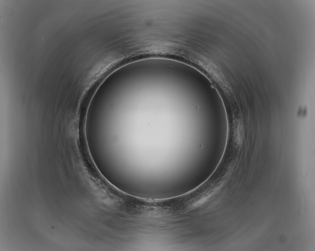 X0000090910486200707301437