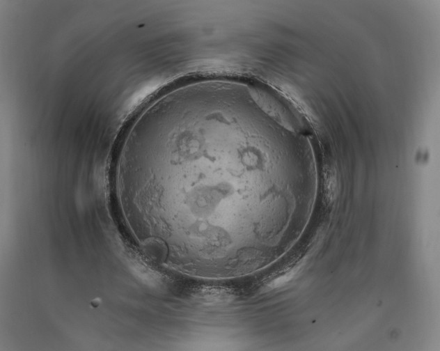 X0000090910487200707301437