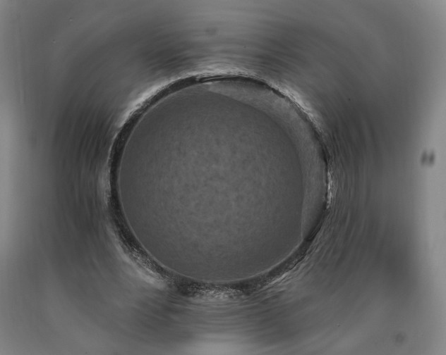 X0000090910488200707301437