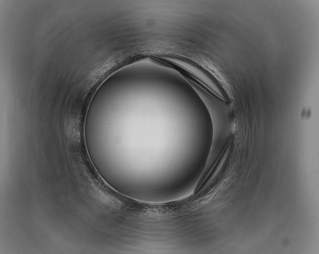 X0000090910489200707301437