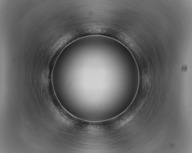 X0000090910490200707301437