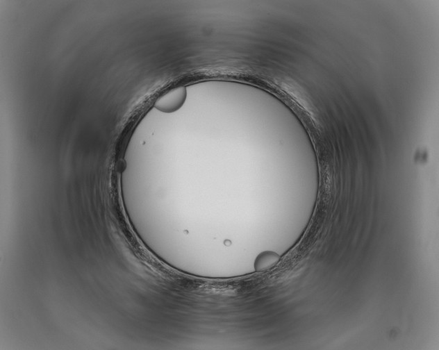 X0000090910491200707301437