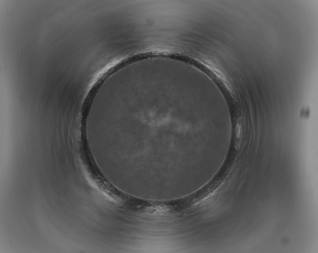 X0000090910492200707301437