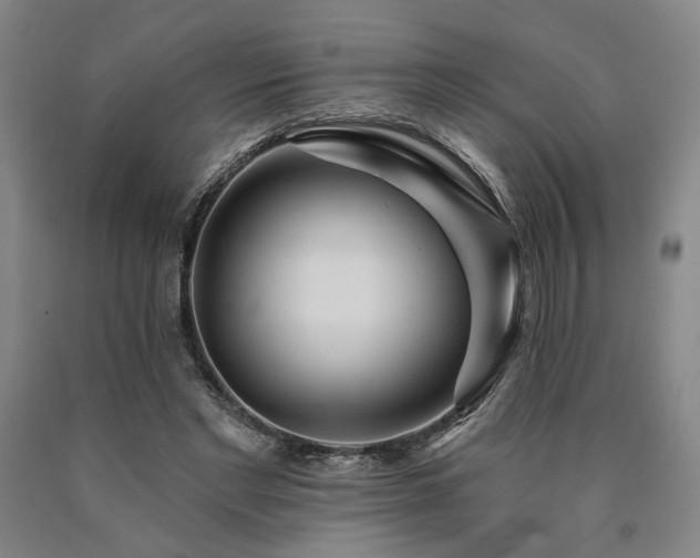 X0000090910493200707301437