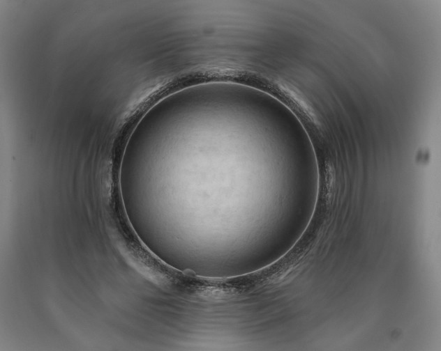 X0000090910494200707301437