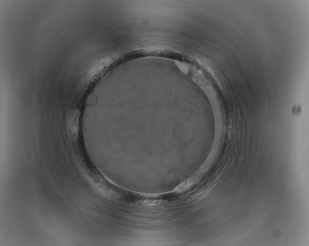 X0000090910495200707301437