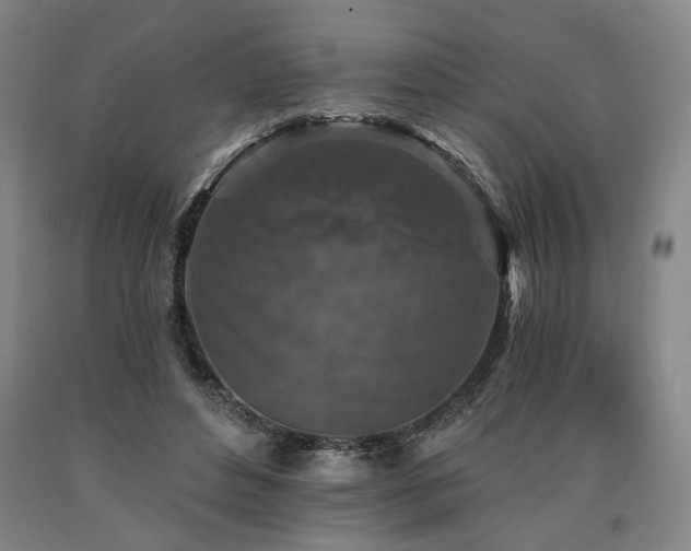 X0000090910496200707301437