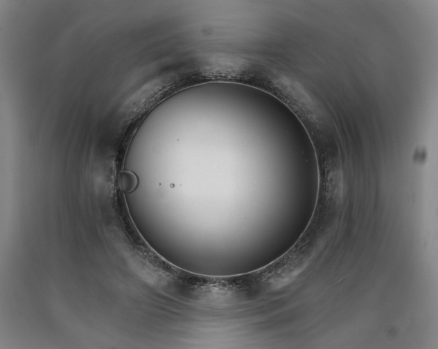 X0000090910498200707301437