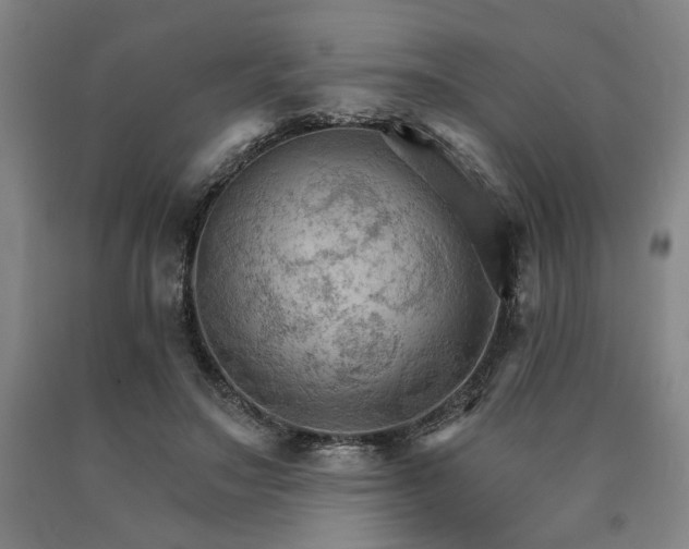 X0000090910499200707301437