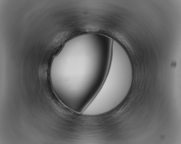 X0000090910501200707301437