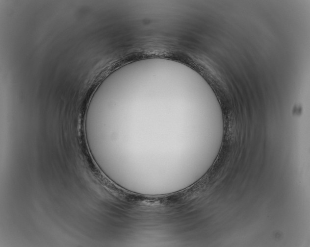 X0000090910502200707301437