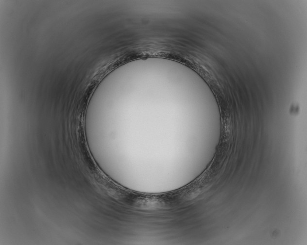 X0000090910503200707301437