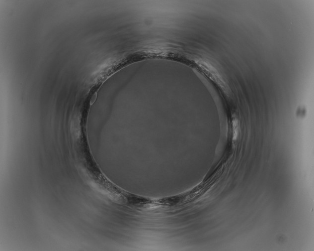 X0000090910504200707301437