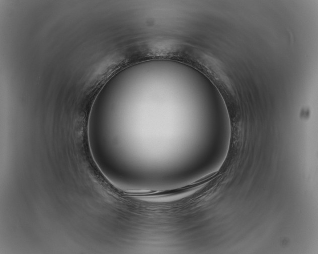 X0000090910505200707301437