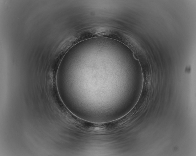 X0000090910506200707301437