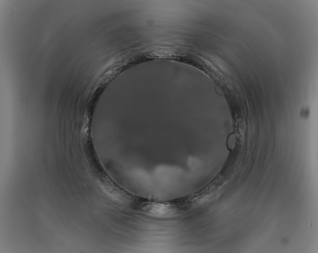 X0000090910507200707301437