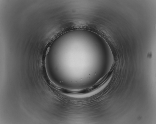 X0000090910508200707301437