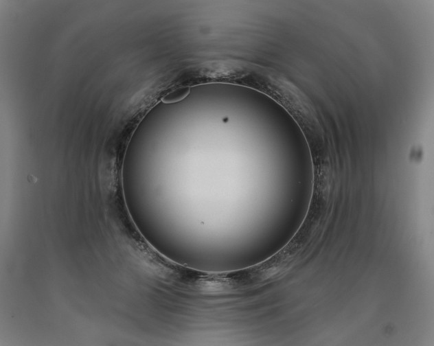 X0000090910510200707301437