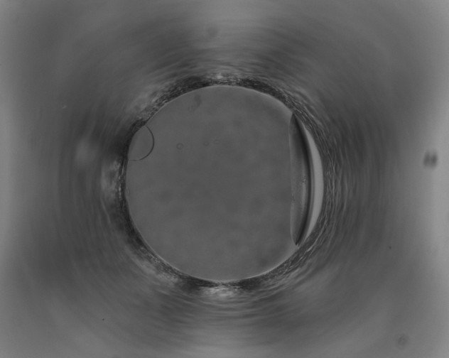 X0000090910511200707301437