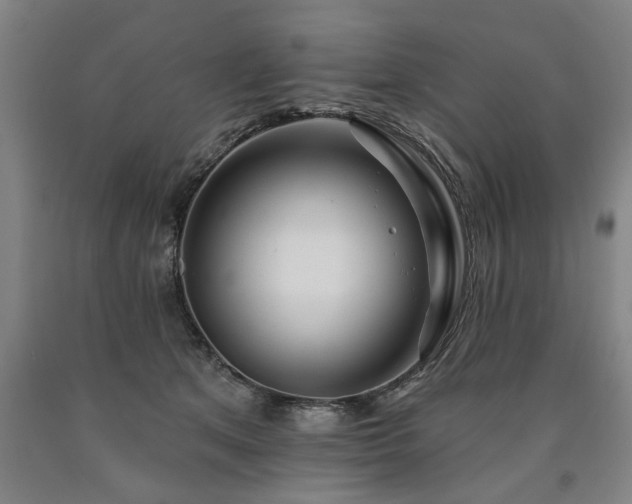 X0000090910513200707301437