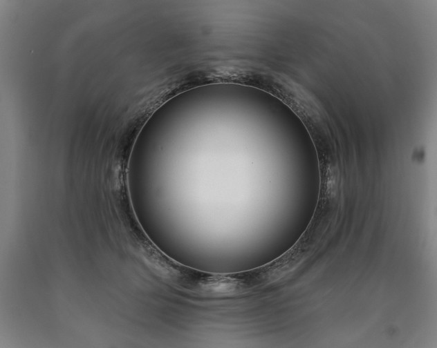 X0000090910514200707301437