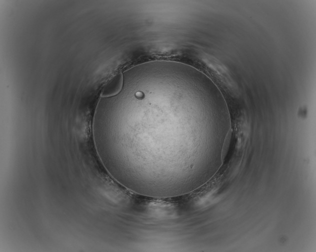 X0000090910515200707301437