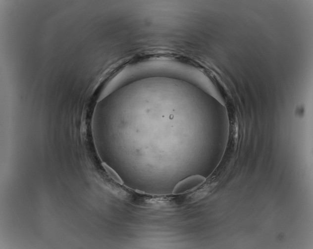 X0000090910516200707301437