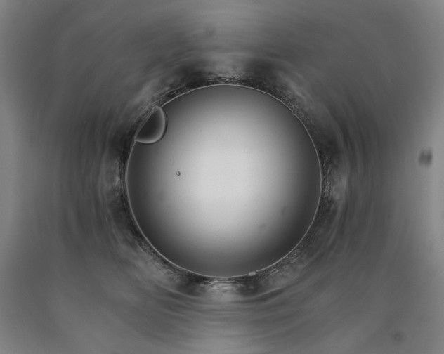 X0000090910518200707301437