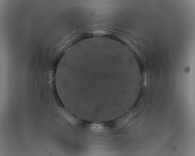 X0000090910519200707301437