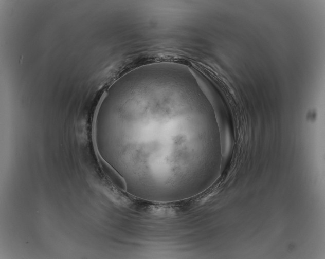 X0000090910520200707301437