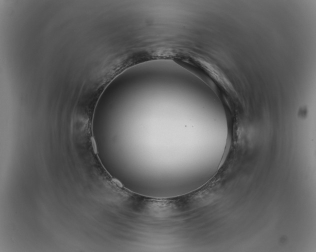 X0000090910521200707301437