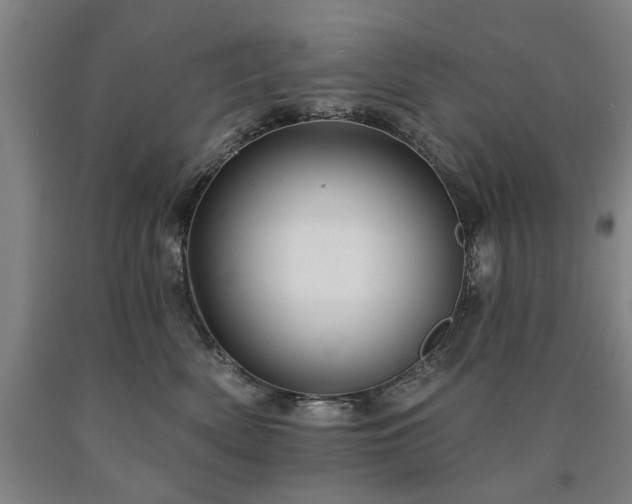 X0000090910522200707301437