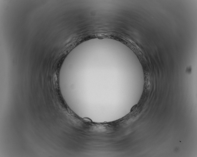 X0000090910523200707301437