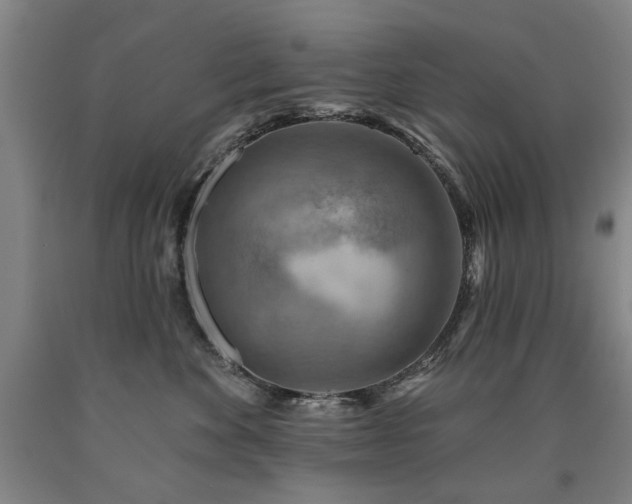 X0000090910524200707301437