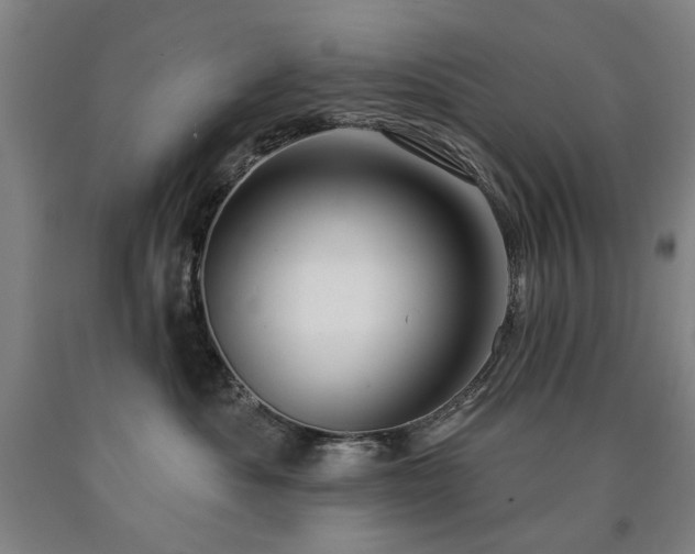 X0000090910525200707301437