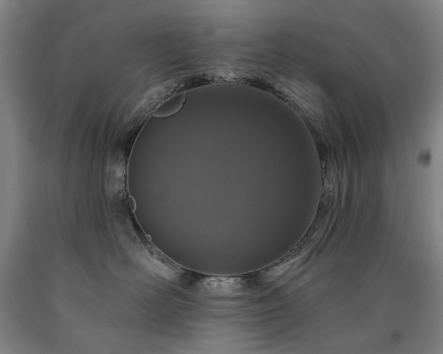 X0000090910526200707301437