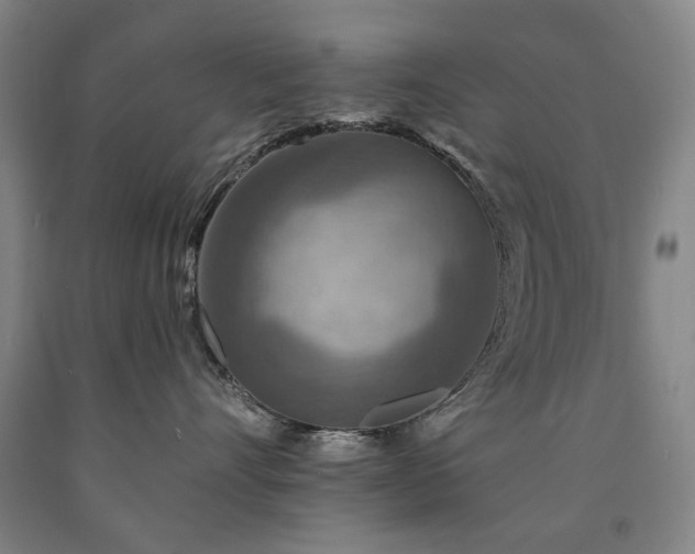 X0000090910528200707301437