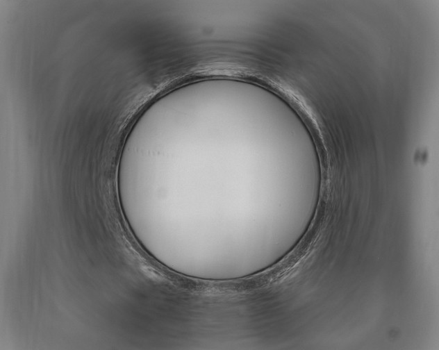 X0000090910529200707301436