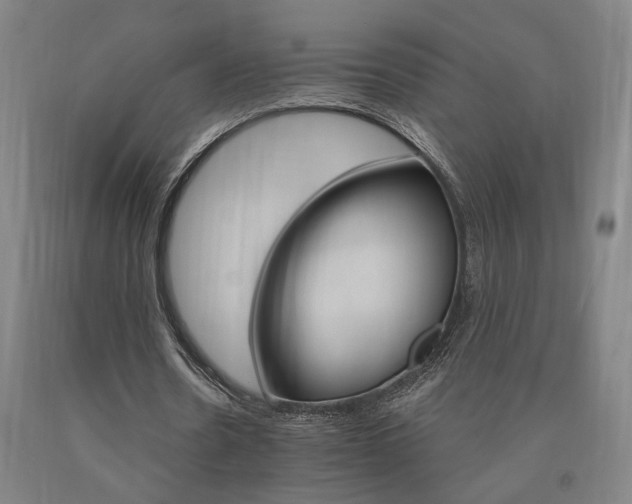 X0000090910530200707301436