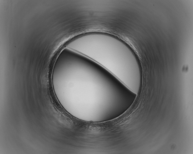 X0000090910531200707301436