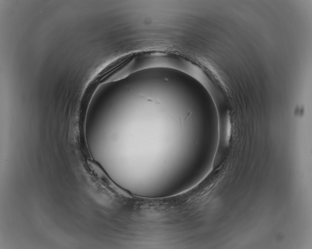 X0000090910532200707301436