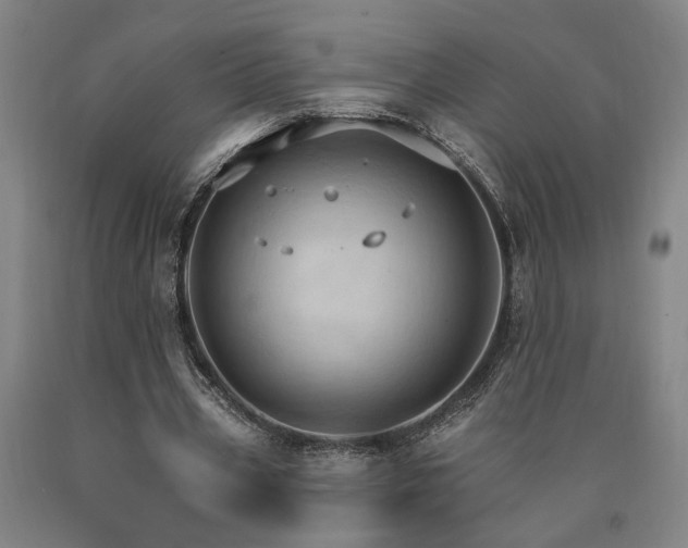 X0000090910533200707301436