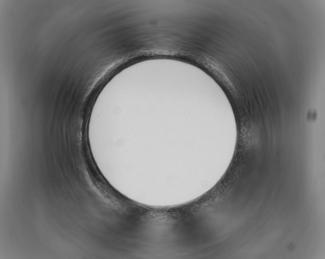 X0000090910534200707301436