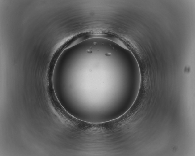 X0000090910536200707301436