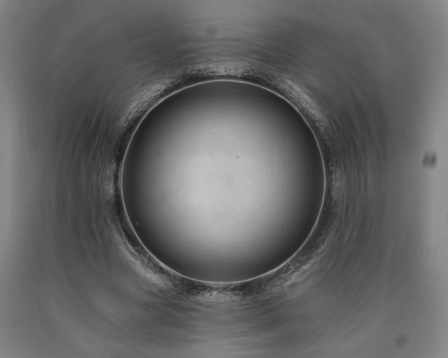 X0000090910537200707301436