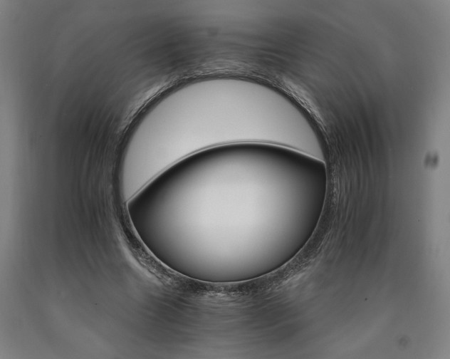 X0000090910538200707301436