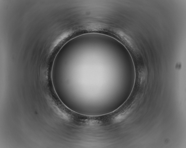 X0000090910539200707301436