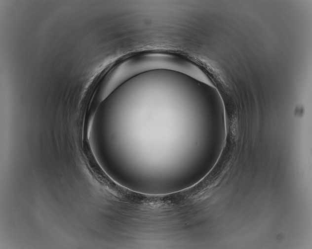 X0000090910540200707301436